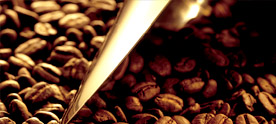 博洛尼亞 咖啡豆
